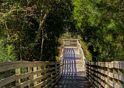 River Sea Plantation Walking Trails