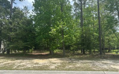 635 Ashbury Drive SE | Pending